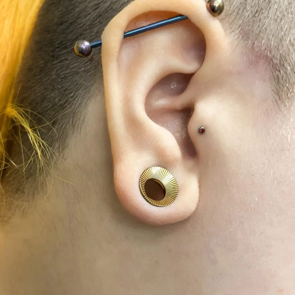 1 Pair Cute gauges Silver/Black Ear Tunnels Plugs 316 Stainless Steel Ear Gauges Weight Saddle Plugs Hypoallergenic expander Piercing Body Jewelry for women and men