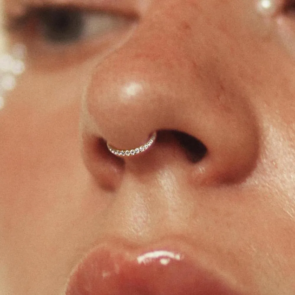 10 PCS Septum Rings Hoop with CZ, 16G/1.2*(6-8-10)mm earrings Surgical Stainless Steel ear gauges weight,Segment Nose Rings, Cartilage Clicker Hoop Earrings for Rook, Daith, Tragus,Gold Silver