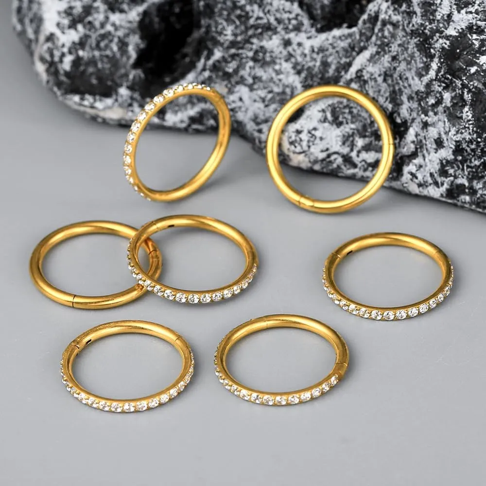 10 PCS Septum Rings Hoop with CZ, 16G/1.2*(6-8-10)mm earrings Surgical Stainless Steel ear gauges weight,Segment Nose Rings, Cartilage Clicker Hoop Earrings for Rook, Daith, Tragus,Gold Silver