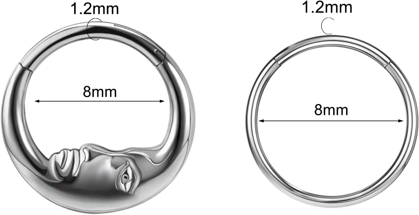 16G 8mm/10mm Nose Rings Hoops Surgical Steel Septum Rings Hoops Hinged Segment Nose Cartilage Clicker Hoop Earrings Piercing Rings for Piercing Rings for Women Men Gold Silver
