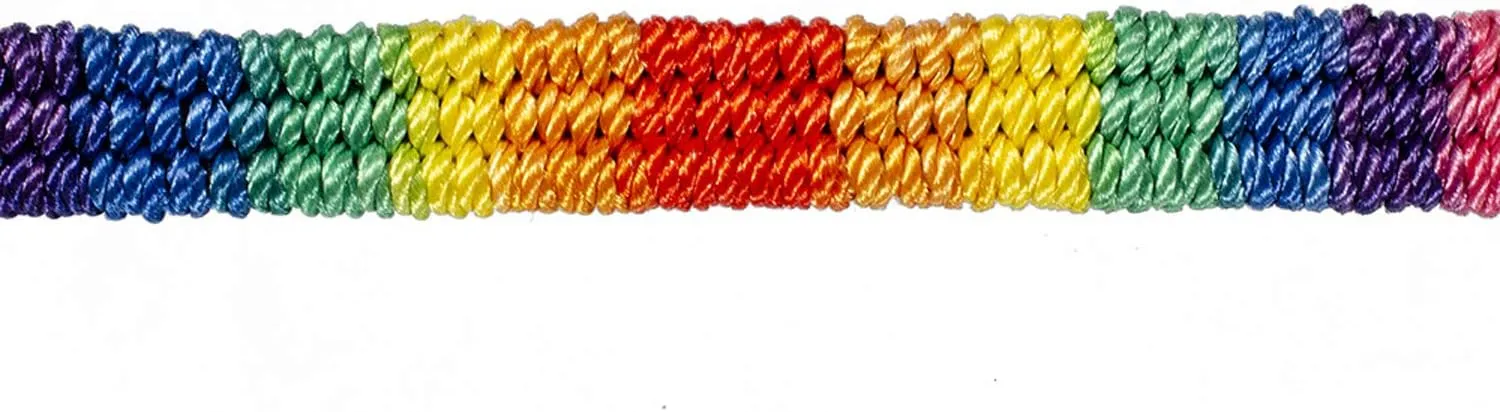 Nanafast Rainbow LGBT Pride Bracelet Handmade Braided Friendship String Bracelet for Gay & Lesbian LGBTQ Wristband Adjustable Size