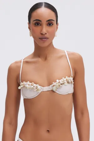 SEASHELL BIKINI TOP